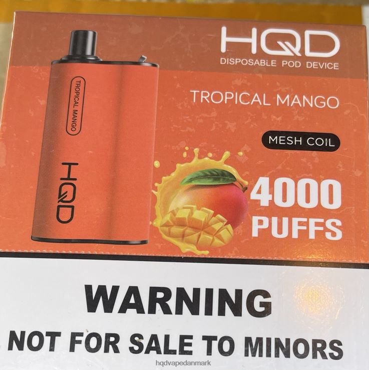 tropisk mango