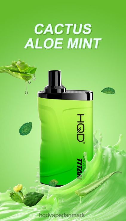 kaktus aloe mynte