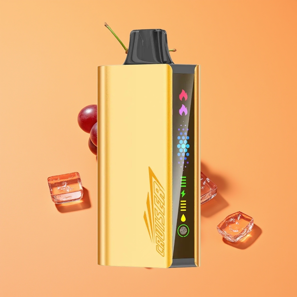 JNR Cruiser 12000 Puffs No-Charge Engangs Vape Vinis Is & 3500 mAh