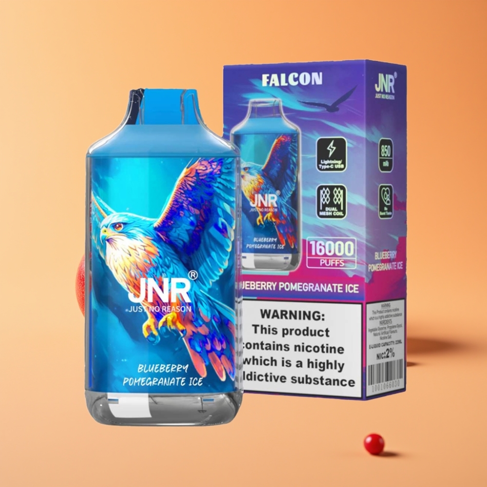 JNR Falcon 16000 Puffs Disposable Vape Blåbær Granatæble Is med Smart LED Display