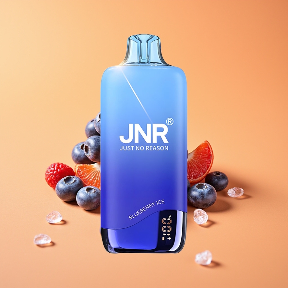 JNR Rainbow 10500 Puffs Engangs Vape Blåbær Is med 600mAh Batteri